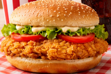 Chicken Burger Combo